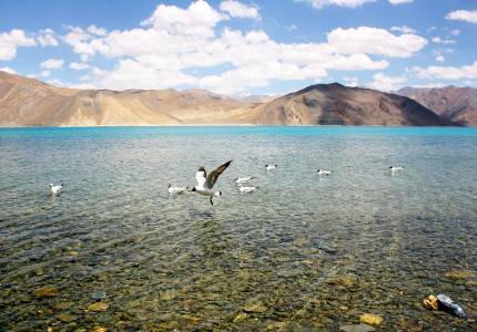 Chandigarh to Leh 9 Days Tour